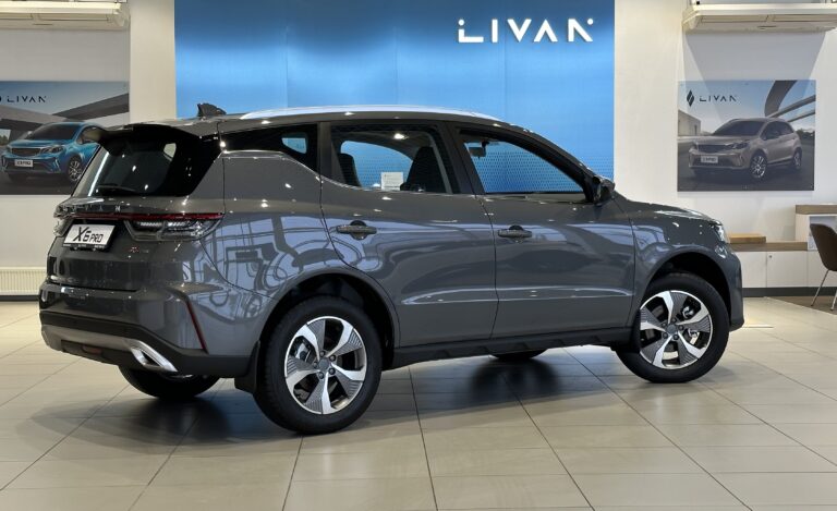 LivanX6 Pro