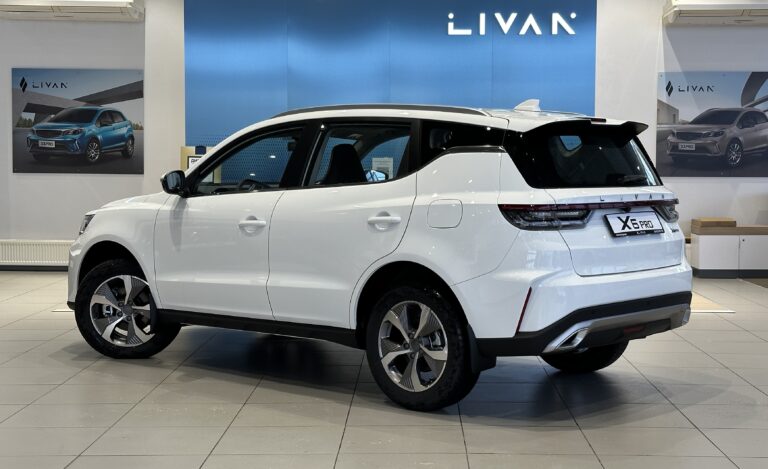 LivanX6 Pro