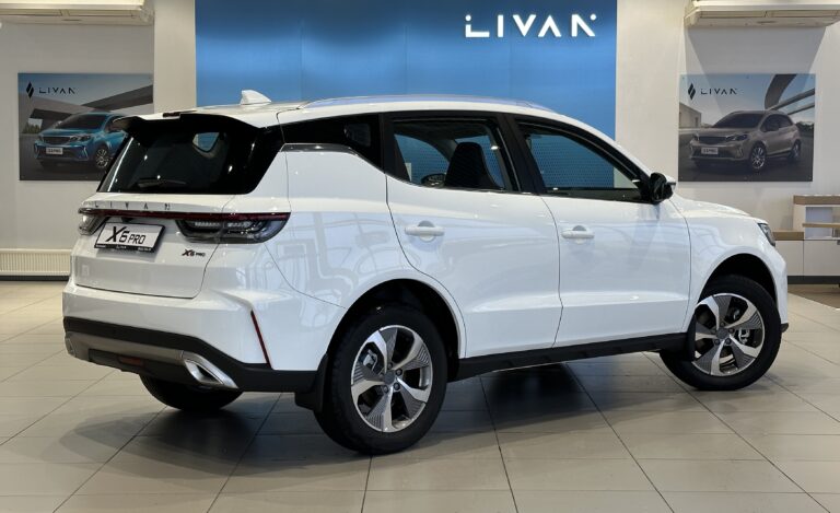 LivanX6 Pro